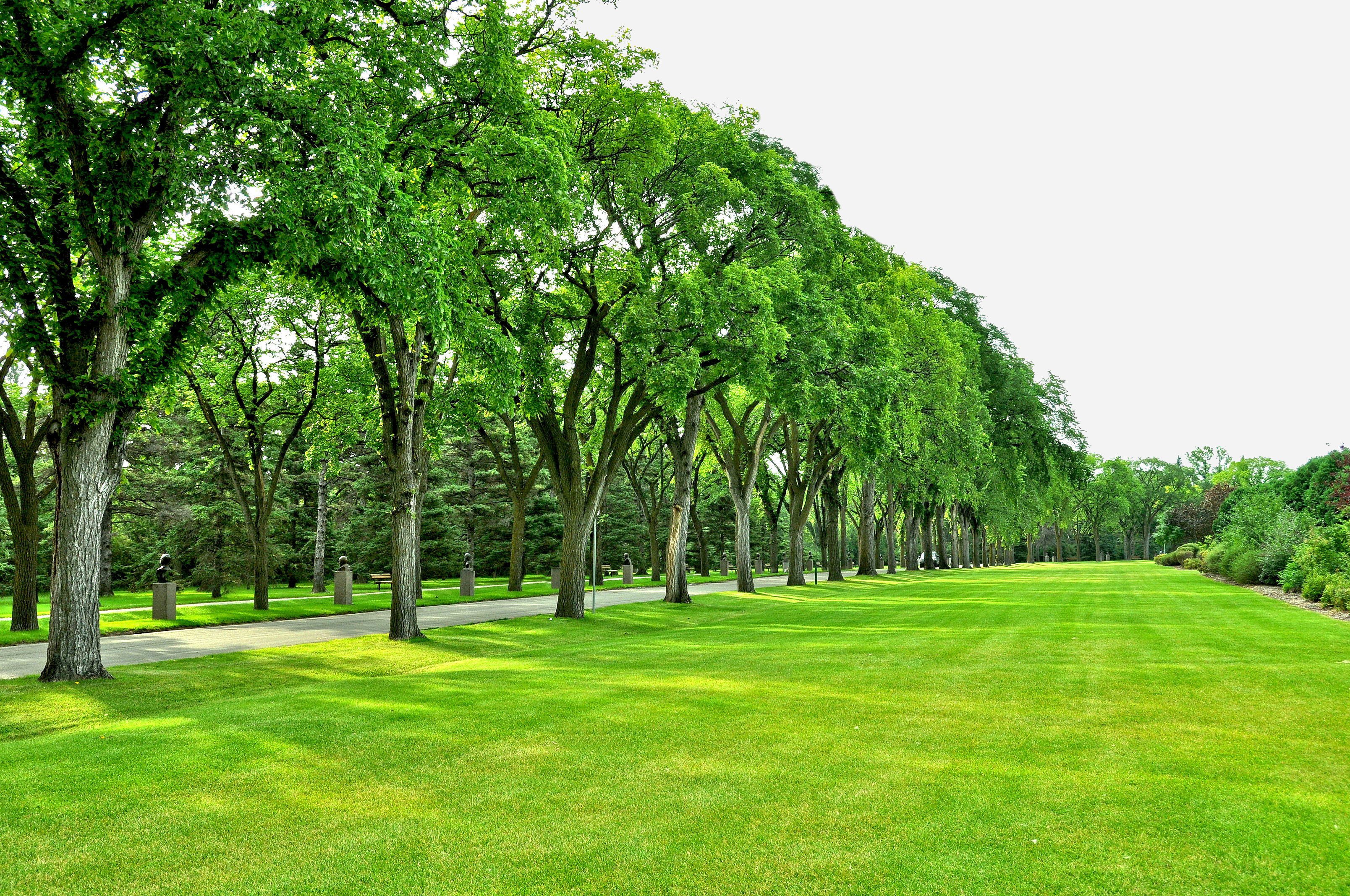 park, Trees, Road, Field, Lawn Wallpaper