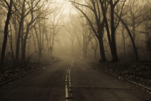 landscapes, Nature, Roads, Trees, Forest, Fog, Mist, Haze, Dark, Spooky, Autumn, Fall, Seasons