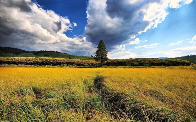 clouds, Landscapes, Nature, Grass, Hills HD Wallpaper Desktop Background