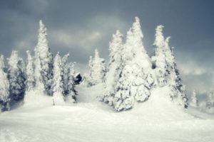 landscapes, Nature, Winter, Snow, Land