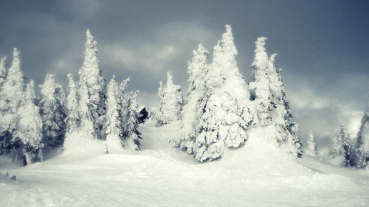 landscapes, Nature, Winter, Snow, Land HD Wallpaper Desktop Background