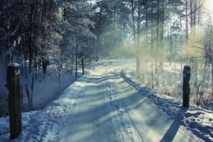 nature, Landscapes, Winter, Snow, Roads, Morning, Sunrise, Sunlight, Sunbeam, Animals, Dogs, Seasons