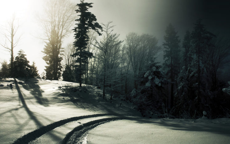 nature, Landscapes, Winter, Snow, Seasons, Trees, Forest, Sunlight, Sun, Light, Haze, Fog, Mist, Path, Roads HD Wallpaper Desktop Background