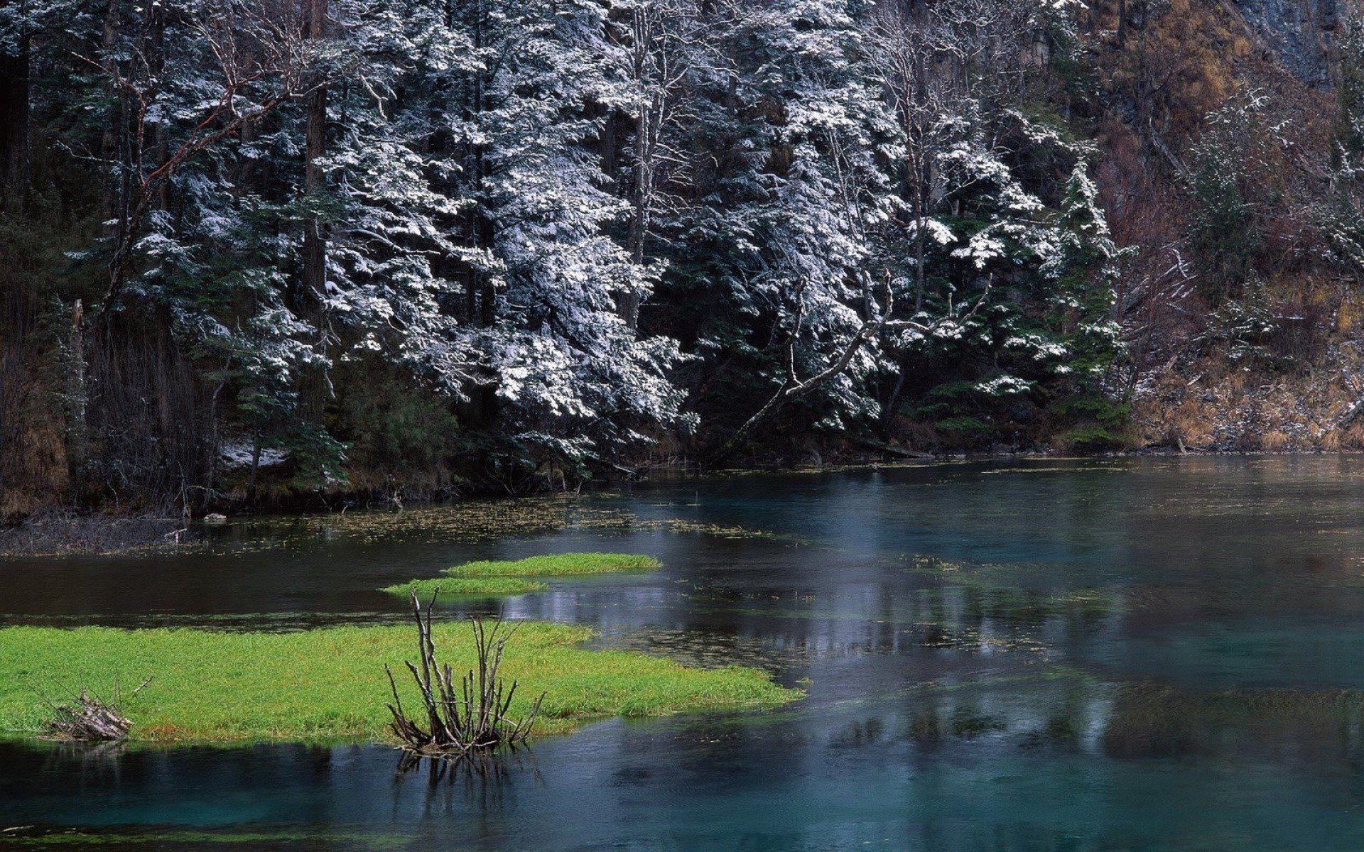 landscapes, Nature, Snow, Trees, Rivers Wallpaper