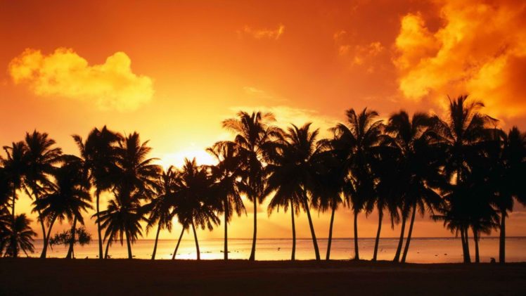 sunset, Cook, Islands, Islands HD Wallpaper Desktop Background