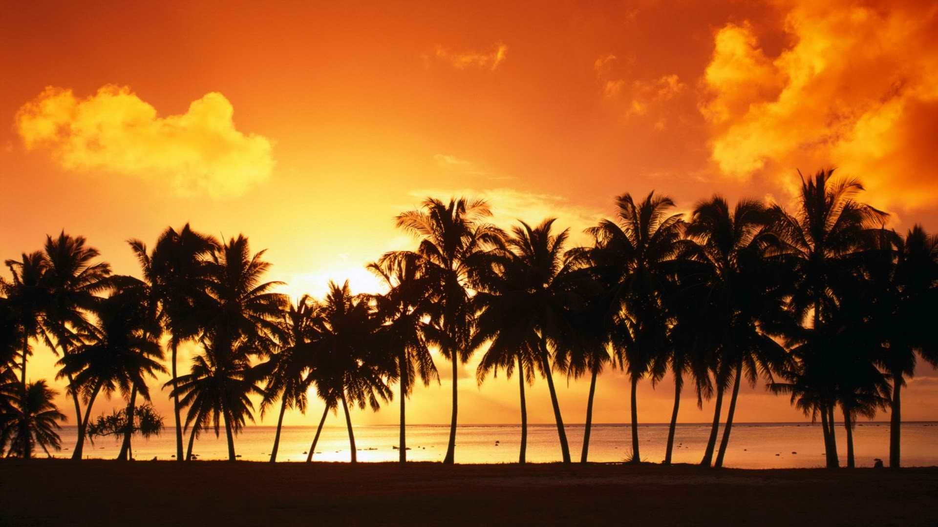 sunset, Cook, Islands, Islands Wallpaper