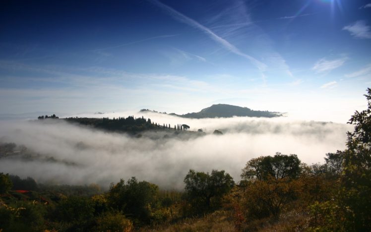 fog, Mist, Trees HD Wallpaper Desktop Background