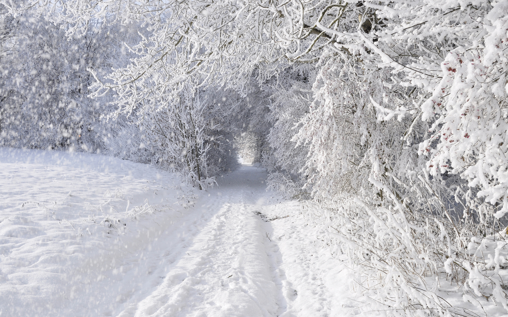 gallery-heavy-snow-across-the-uk-13th-february-2013