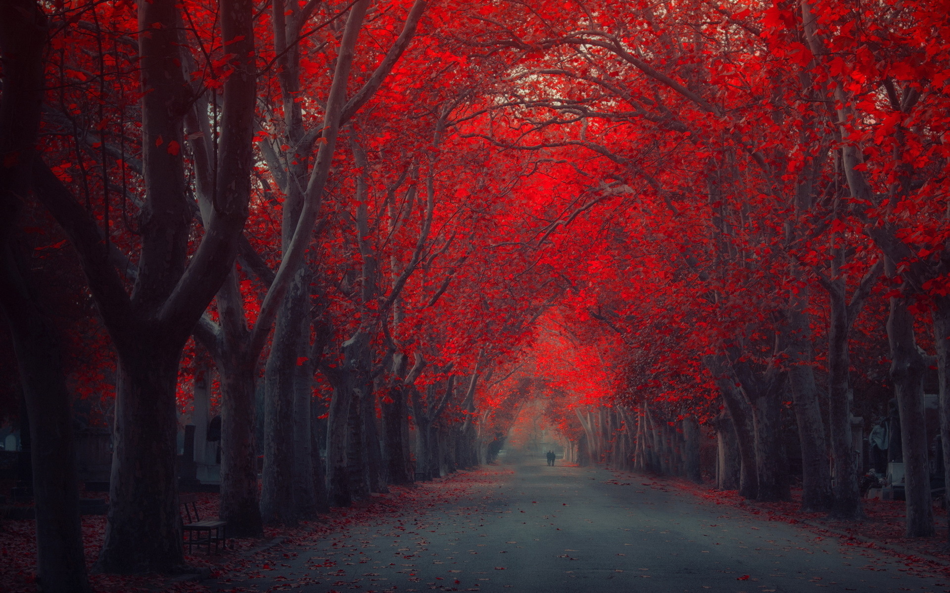 nature, Landscapes, Roads, Path, Trees, Park, Forests, Leaves, Autumn, Fall, Seasons, People, Couple, Love, Romance, Mood, Emotion, Art, Artistic, Painting, Colors, Red Wallpaper