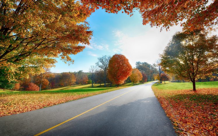 nature, Landscapes, Roads, Trees, Leaves, Autumn, Fall, Seasons, Colors, Sky, Clouds, Sunlight HD Wallpaper Desktop Background