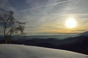 tree, Snow, Winter, Sunlight, Landscape