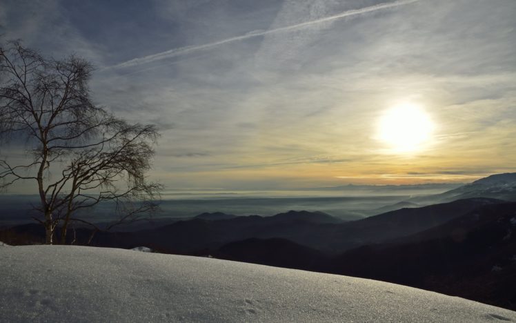 tree, Snow, Winter, Sunlight, Landscape HD Wallpaper Desktop Background