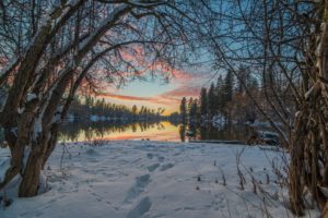 trees, Snow, Winter, Lake, Reflection, Sunset