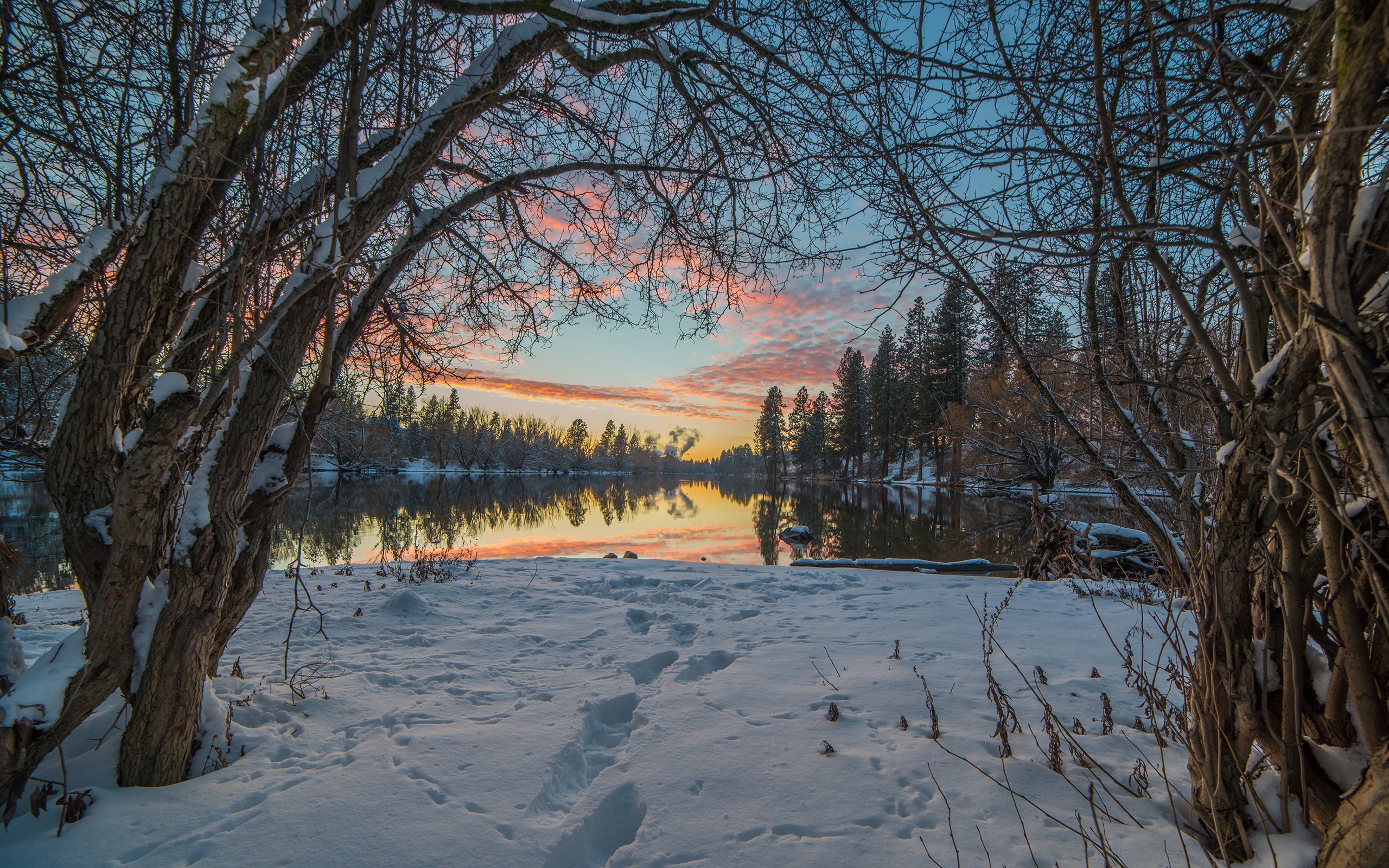 trees, Snow, Winter, Lake, Reflection, Sunset Wallpaper