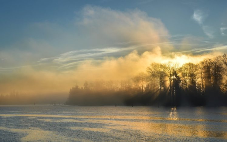 trees, Sunlight, Fog, Mist, Lake HD Wallpaper Desktop Background