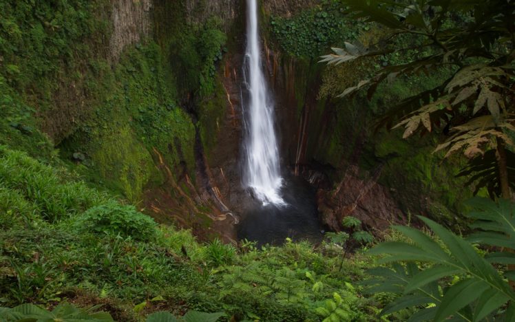 waterfall, Jungle, Forest HD Wallpaper Desktop Background