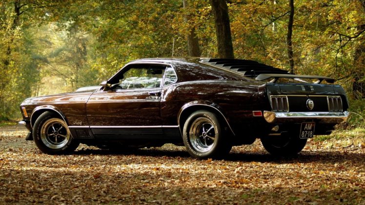 vehicles, Cars, Ford, Mustang, Boss, Spoiler, Wings, Wheels, Shine, Muscle, Old, Retro, Classic, Landscapes, Leaves, Trees, Forest, Autumn, Fall, Seasons, Roads, Street HD Wallpaper Desktop Background