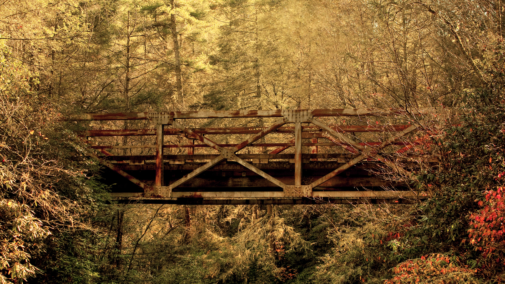 trestle, Rust, Frame, Bridges, Architecture, Structure, Tracks, Railroad, Roads, Path, Metal, Steel, Nature, Trees, Forest, Leaves, Scenic Wallpaper