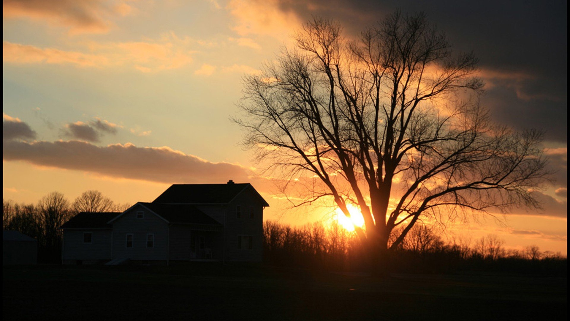 landscapes, Trees Wallpaper