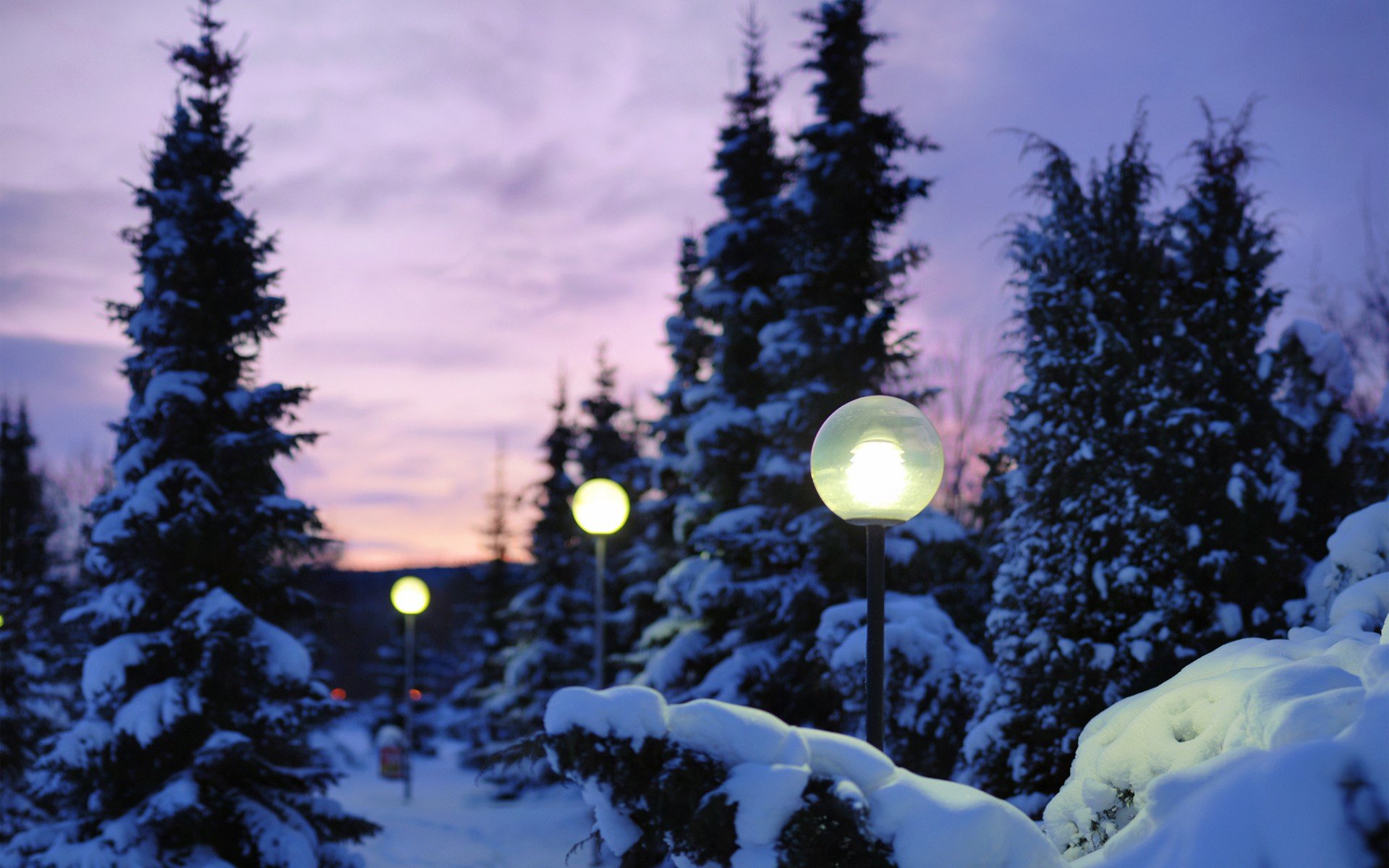 winter, Snow, Trees, Lanterns, Pine, Trees Wallpaper