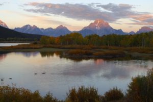canada, Wyoming, Rivers, Geese