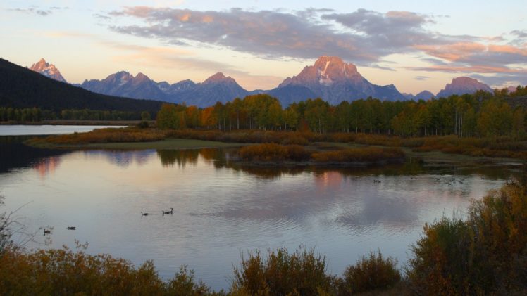 canada, Wyoming, Rivers, Geese HD Wallpaper Desktop Background