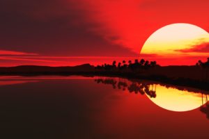water, Sunrise, Red, Palm, Trees, Lakes, Sillhouette