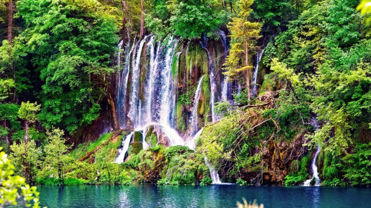 water, Trees, Jungle, Waterfalls HD Wallpaper Desktop Background