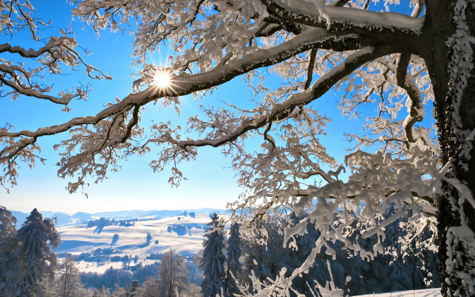 nature, Landscapes, Trees, Scenic, View, Winter, Snow, Seasons, Mountains, Hills, Cold, Fields, Sky, Sun, Sunlight, Bark Wallpaper