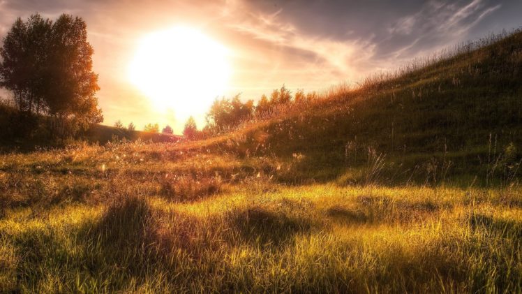 landscapes, Grass, Sunlight HD Wallpaper Desktop Background