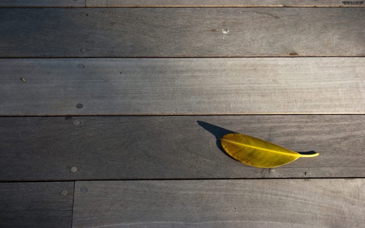 leaf, On, The, Wooden, Floor HD Wallpaper Desktop Background