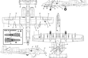 a 10, Bomber, Jet, Fighter, Bomb, Military, Airplane, Plane, Thunderbolt, Warthog,  1