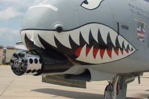 a 10, Bomber, Jet, Fighter, Bomb, Military, Airplane, Plane, Thunderbolt, Warthog,  25