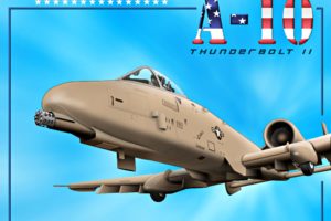 a 10, Bomber, Jet, Fighter, Bomb, Military, Airplane, Plane, Thunderbolt, Warthog,  29