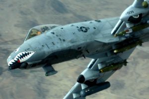 a 10, Bomber, Jet, Fighter, Bomb, Military, Airplane, Plane, Thunderbolt, Warthog,  64