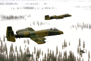 a 10, Bomber, Jet, Fighter, Bomb, Military, Airplane, Plane, Thunderbolt, Warthog,  74