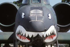 a 10, Bomber, Jet, Fighter, Bomb, Military, Airplane, Plane, Thunderbolt, Warthog,  77