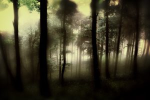 blury, Forest
