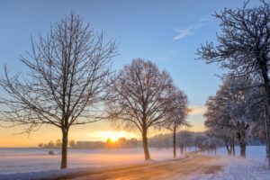 sunrise, Landscapes, Nature, Winter, Snow, Trees, Dawn, Germany