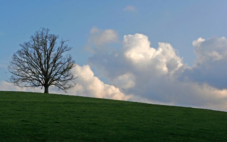 clouds, Landscapes, Nature, Trees HD Wallpaper Desktop Background