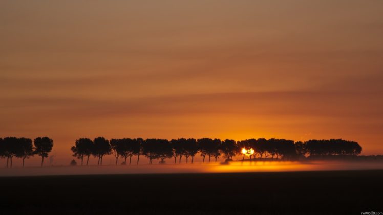 sunset, Landscapes, Nature, Trees, Silhouettes, Fog HD Wallpaper Desktop Background