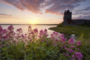 sunset, Castles, Flowers, Ireland, Lakes, Castle
