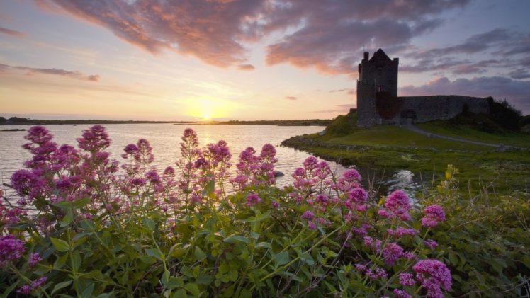 sunset, Castles, Flowers, Ireland, Lakes, Castle HD Wallpaper Desktop Background