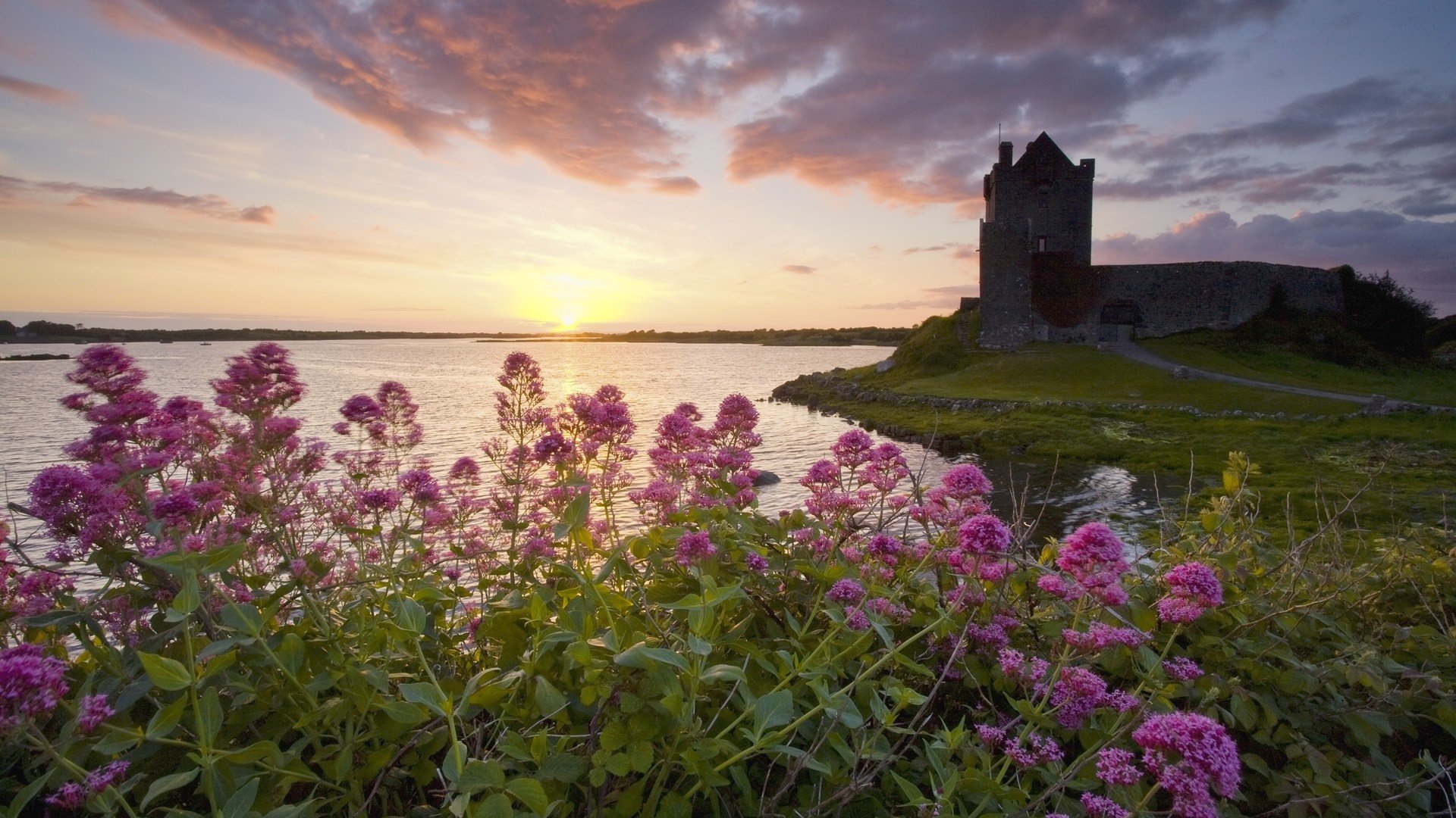 sunset, Castles, Flowers, Ireland, Lakes, Castle Wallpaper