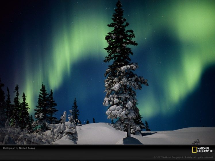 snow, Trees, Aurora, Borealis, National, Geographic, Snow, Landscapes HD Wallpaper Desktop Background