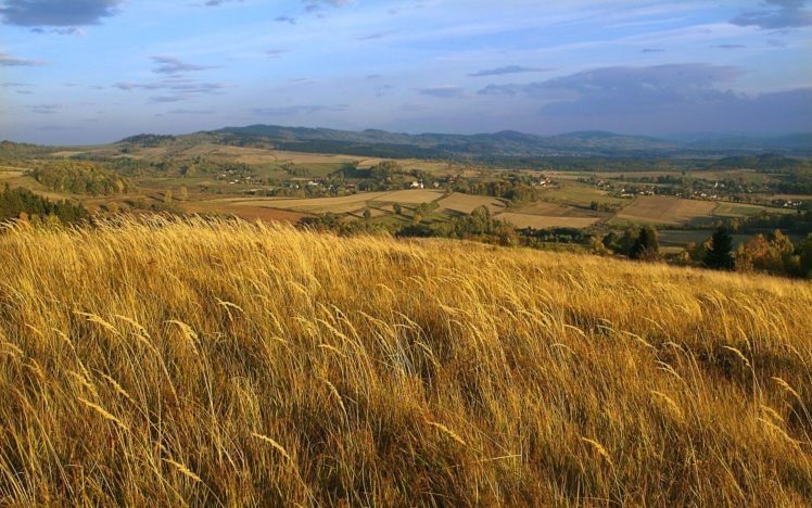 landscapes, Nature, Fields, Wheat HD Wallpaper Desktop Background