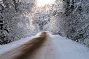 winter, Snow, Trees, Roads, Tv, Shows
