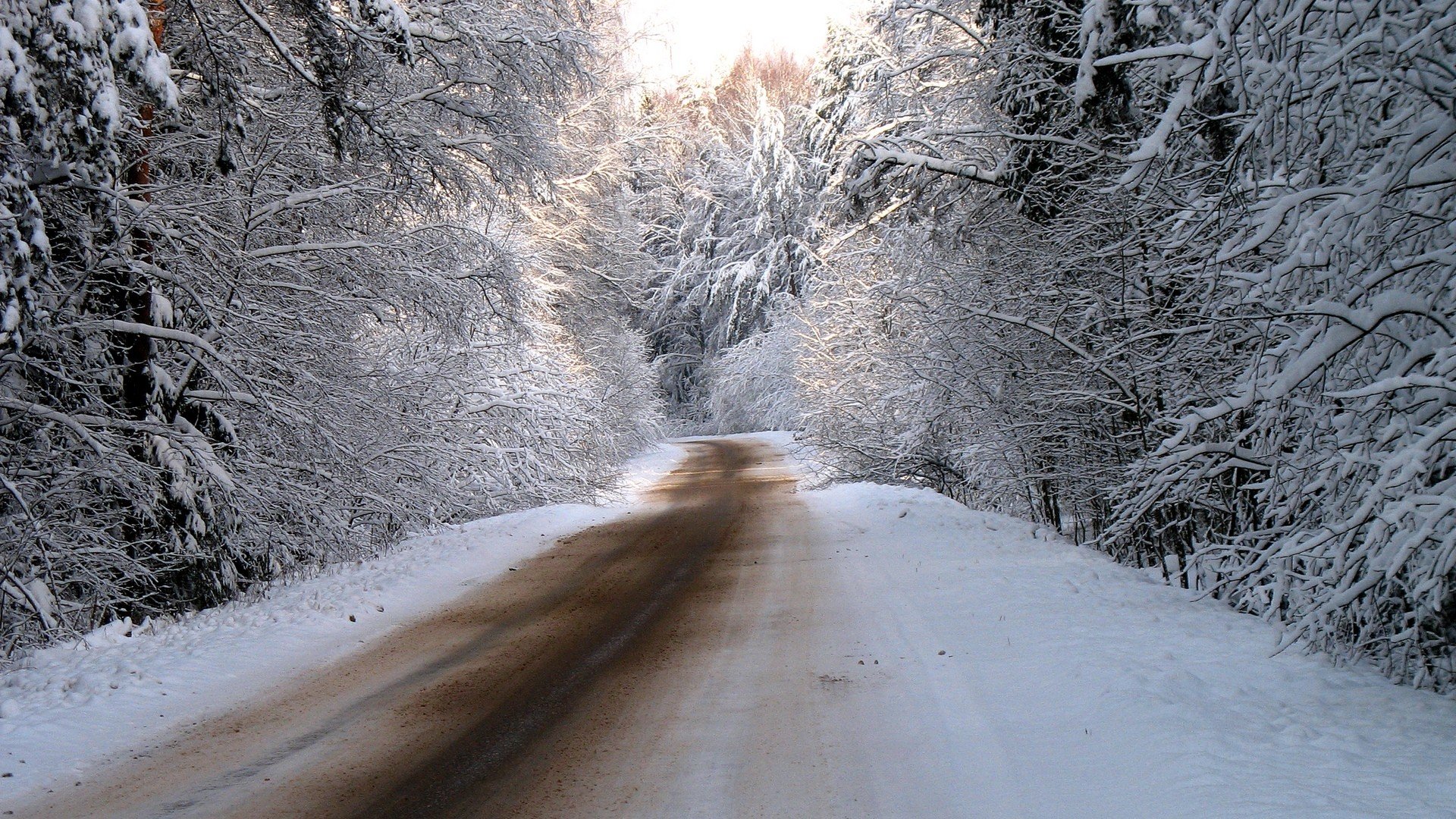 winter, Snow, Trees, Roads, Tv, Shows Wallpaper