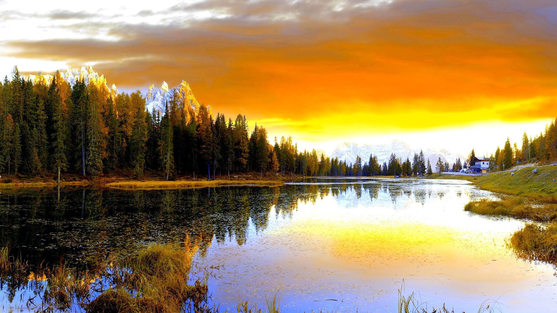landscapes, Trees, Lakes Wallpaper