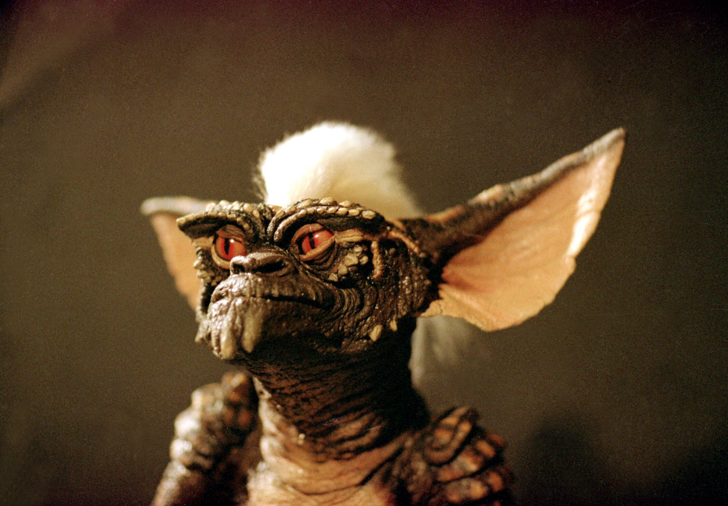 gremlins, Comedy, Horror, Creature, Monster, Alien,  8 , Jpg Wallpaper